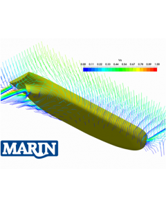 Manoeuvering Simulation RANS